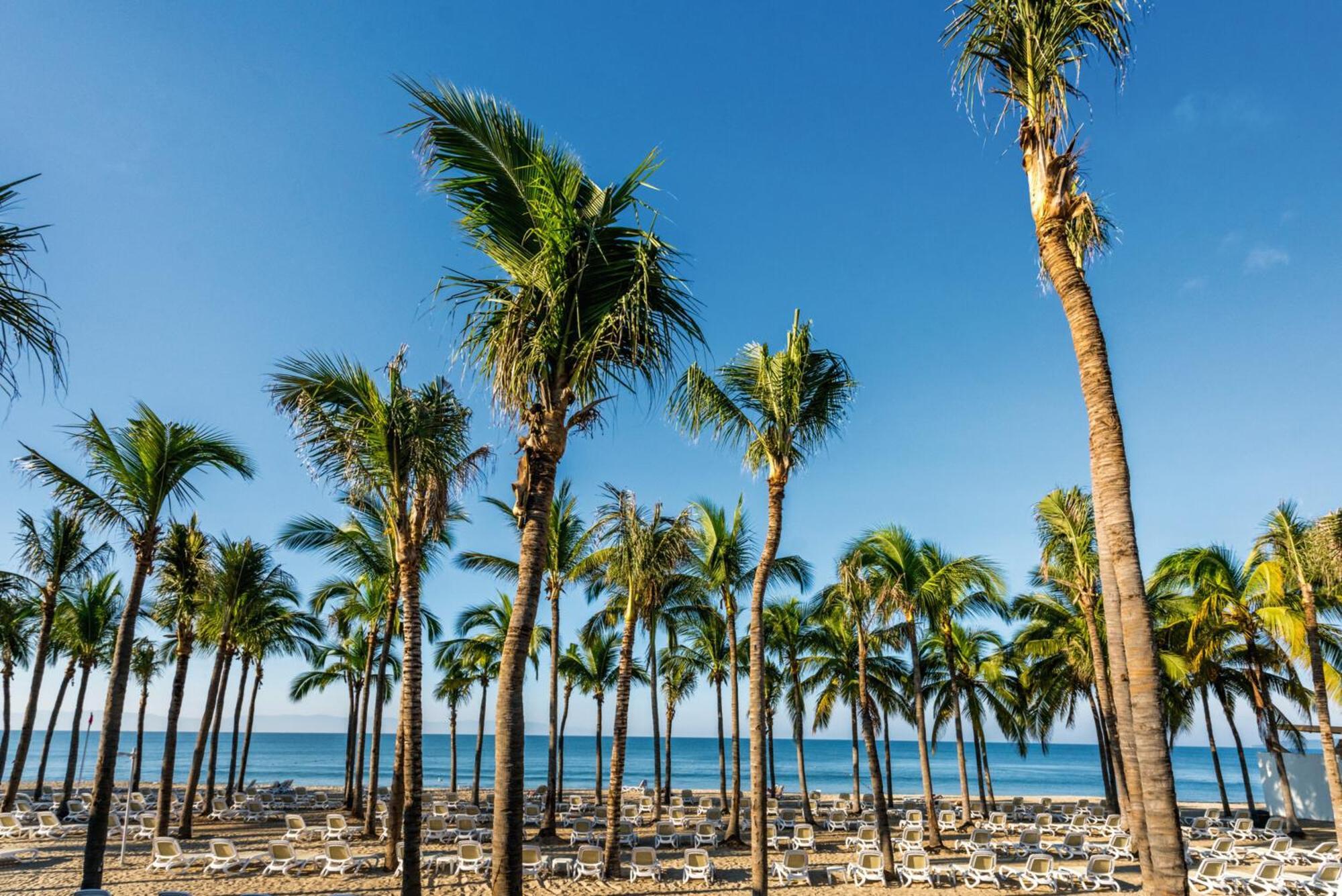 Riu Vallarta Hotel Nuevo Vallarta Kültér fotó